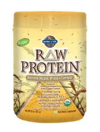 Garden of Life, RAW Protein 22 oz